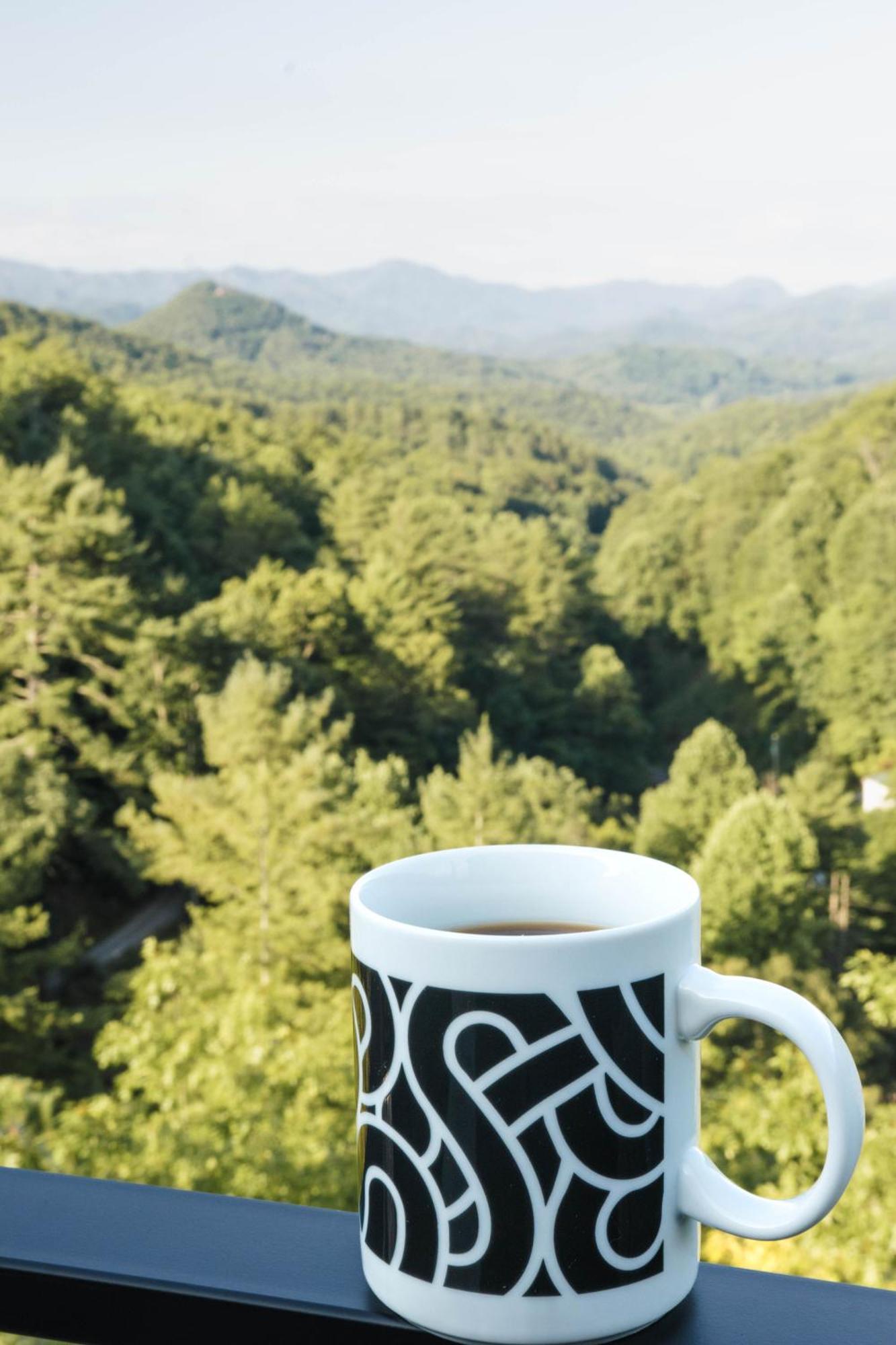 Long View Resort Bryson City, Nc Esterno foto